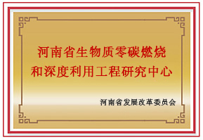 品牌历程_大宝娱乐