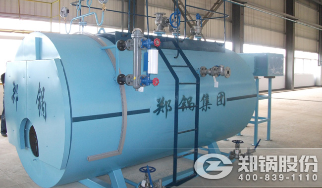 大宝娱乐燃气锅炉WNS型