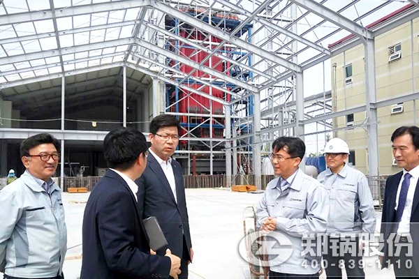 韩国平泽市市长视察大宝娱乐30T生物质锅炉现场