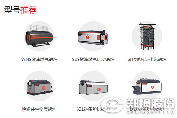 大宝娱乐股份锅炉产品.jpg