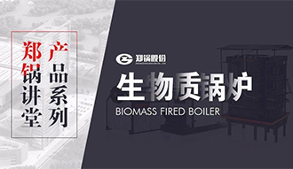 【大宝娱乐课堂】带你秒懂生物质链条炉排锅炉