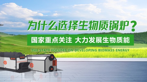大宝娱乐生物质锅炉：绿色生长的“时代之选”