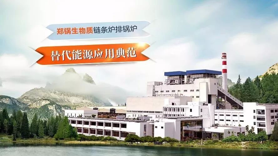 大宝娱乐领衔体例行业手艺标准，，，，，，首次统一生物质链条炉排锅炉手艺条件！