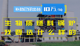 【生物质·津贴】生物质燃料锅炉10万元/吨津贴已经出台，，，，，，我要选什么样的锅炉？？