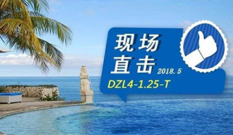 现场直击丨看生物质锅炉在巴厘岛怎样强操作，，，，，，转头客非它不选