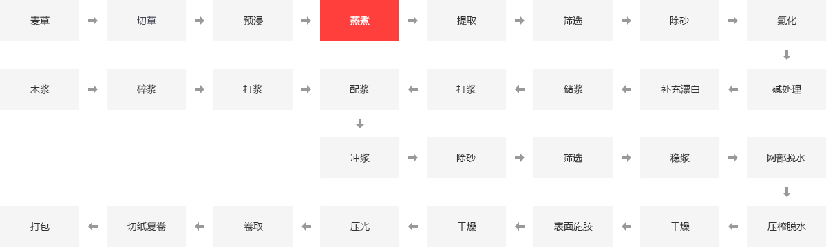 造纸锅炉,造纸厂锅炉,造纸燃气锅炉,造纸机锅炉_大宝娱乐