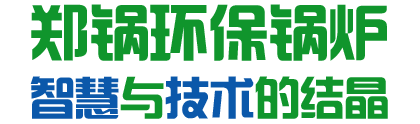 大宝娱乐环保锅炉  智慧与手艺的结晶