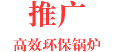 大宝娱乐环保锅炉  智慧与手艺的结晶