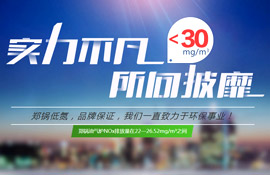 大宝娱乐环保锅炉  智慧与手艺的结晶