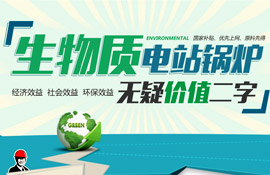 大宝娱乐环保锅炉  智慧与手艺的结晶
