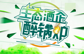 大宝娱乐环保锅炉  智慧与手艺的结晶