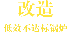 大宝娱乐环保锅炉  智慧与手艺的结晶